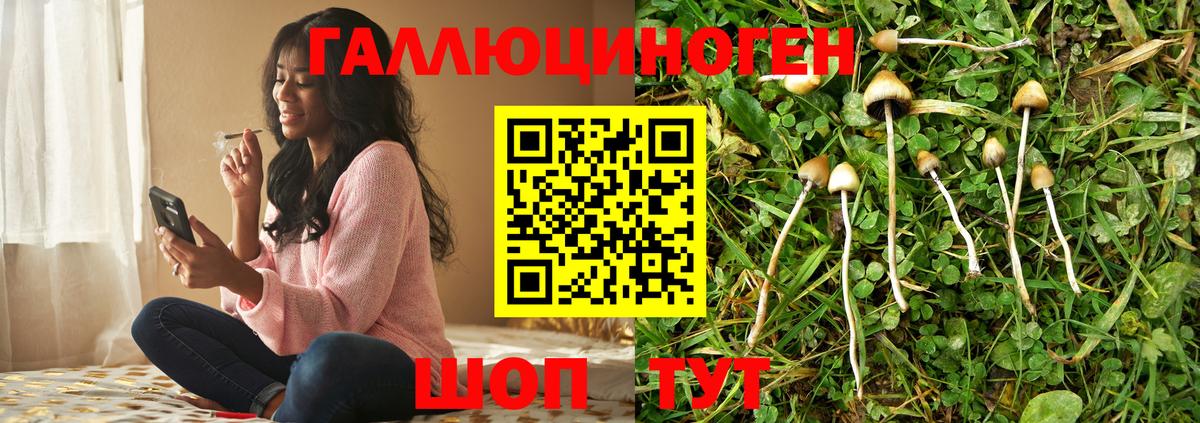 Галлюциногенные грибы ЛСД Корсаков