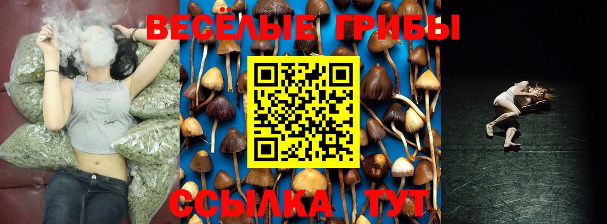купить закладку  Вход с VPN  Корсаков  Галлюциногенные грибы MAGIC MUSHROOMS 